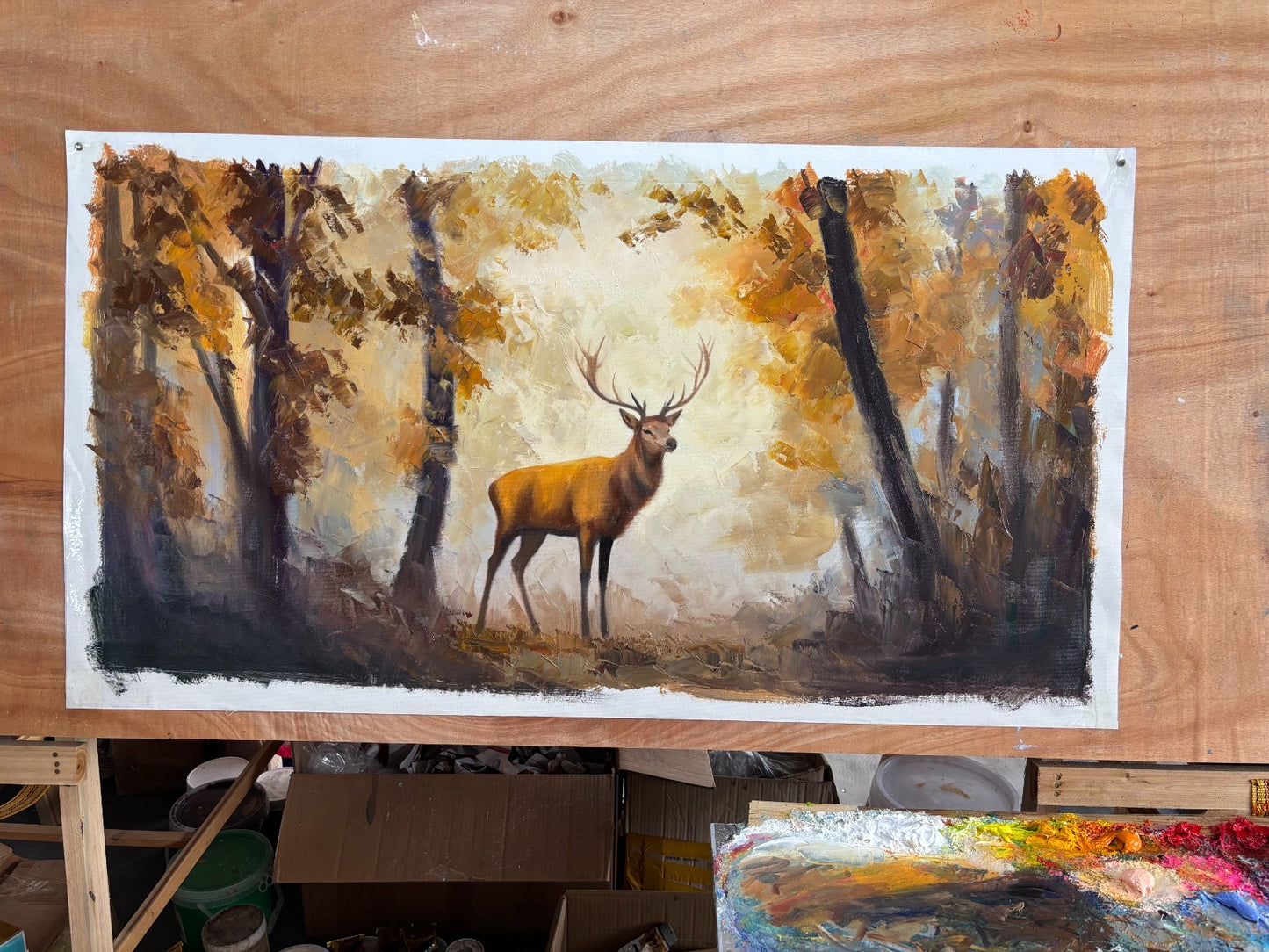 Enchanted Forest